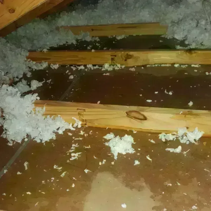 Attic Water Damage in Sharon Springs, KS