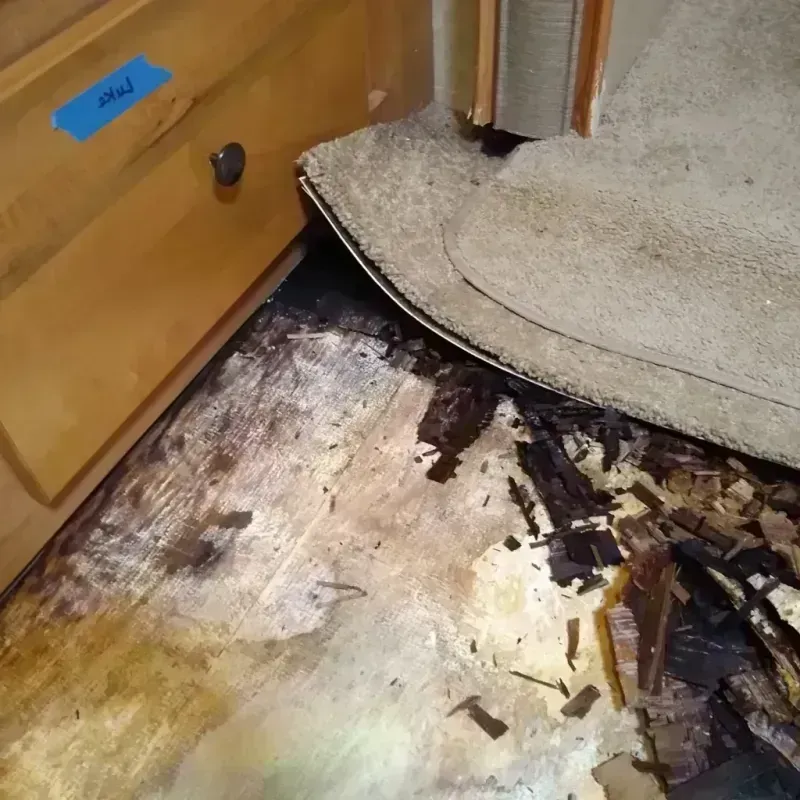 Best Wood Floor Water Damage Service in Sharon Springs, KS